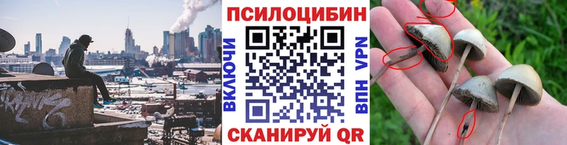 Галлюциногенные грибы Psilocybine cubensis Верхнеуральск